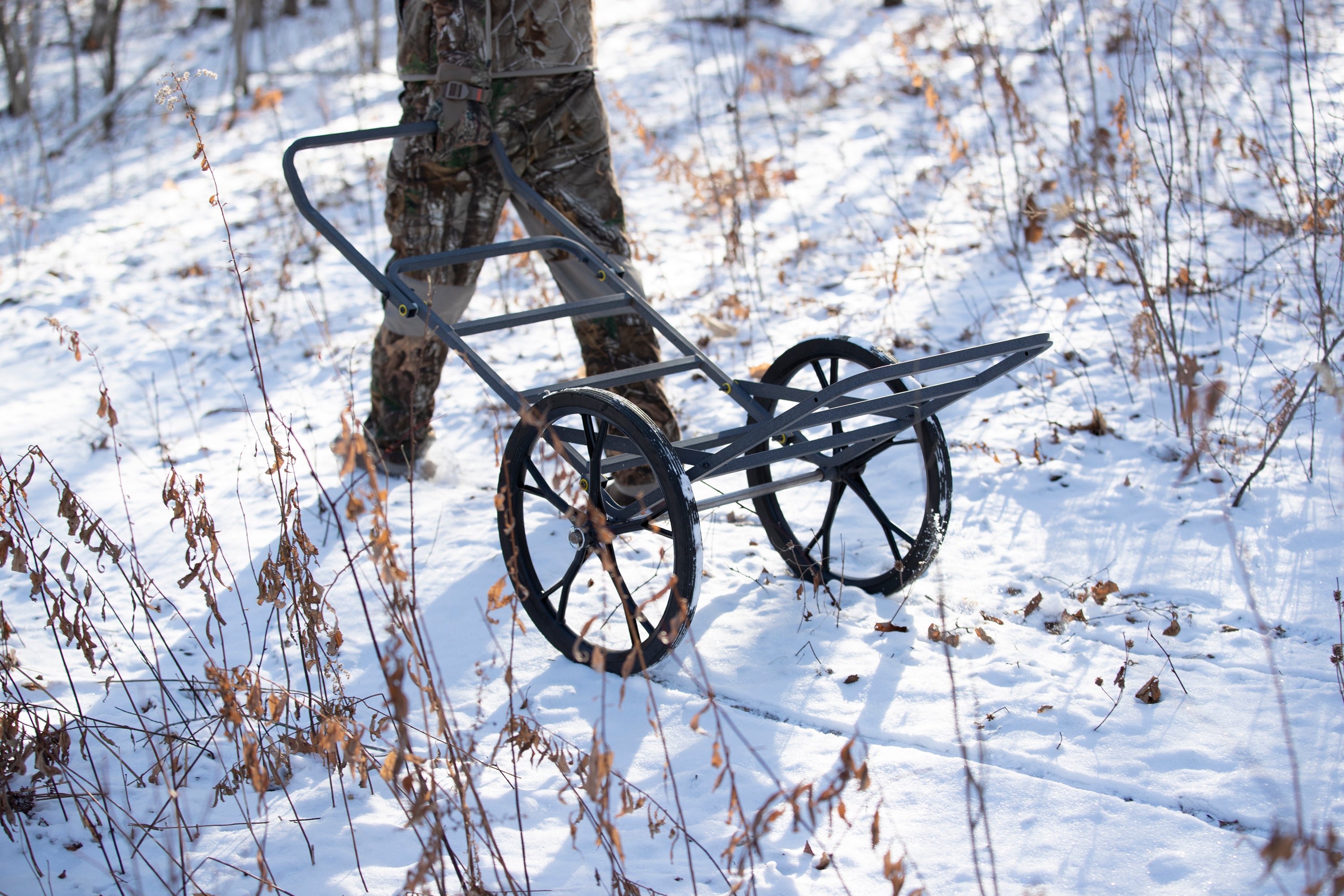 Bayou リバイズド・エディション 3ED Bayou リバイズド・エディション 3ED