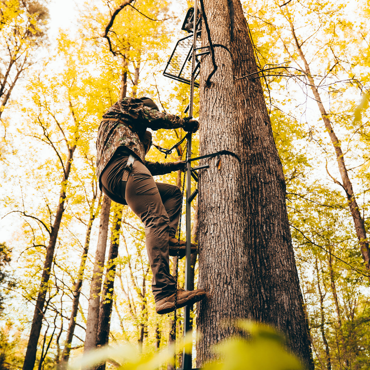 20' Connected Stick