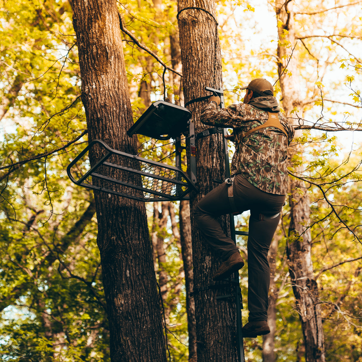 20' Connected Stick