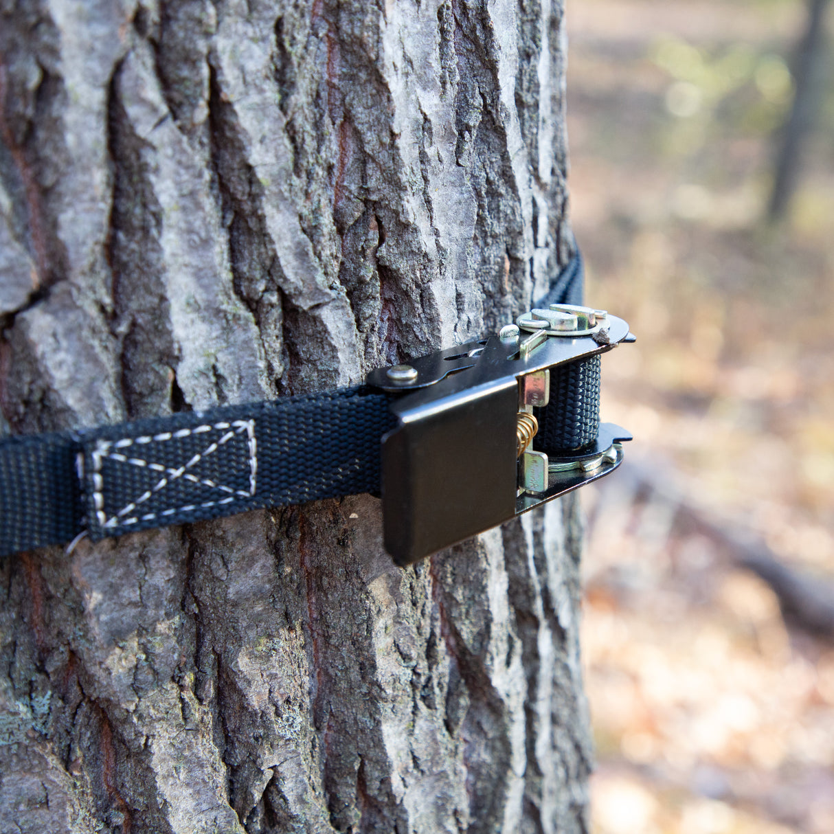 Ladder Stand Ratchet Strap