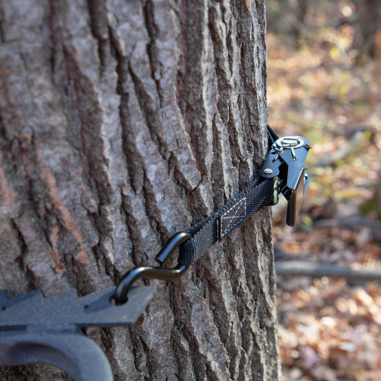 Ladder Stand Ratchet Strap
