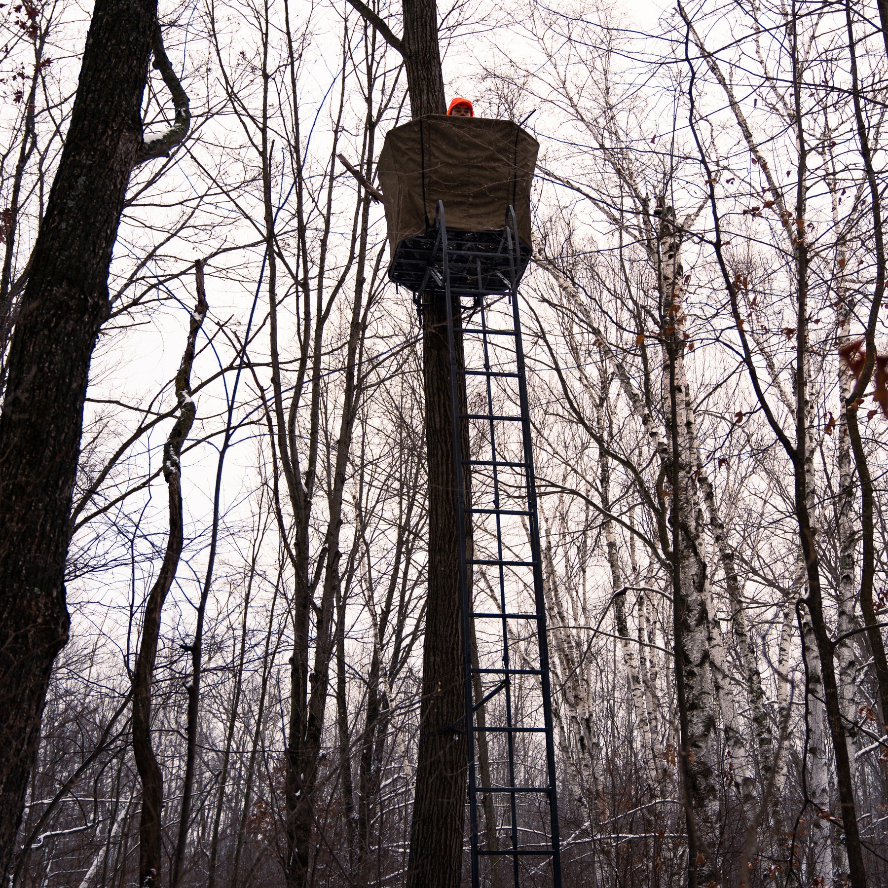 Family tradition swivel seat ladder online stand