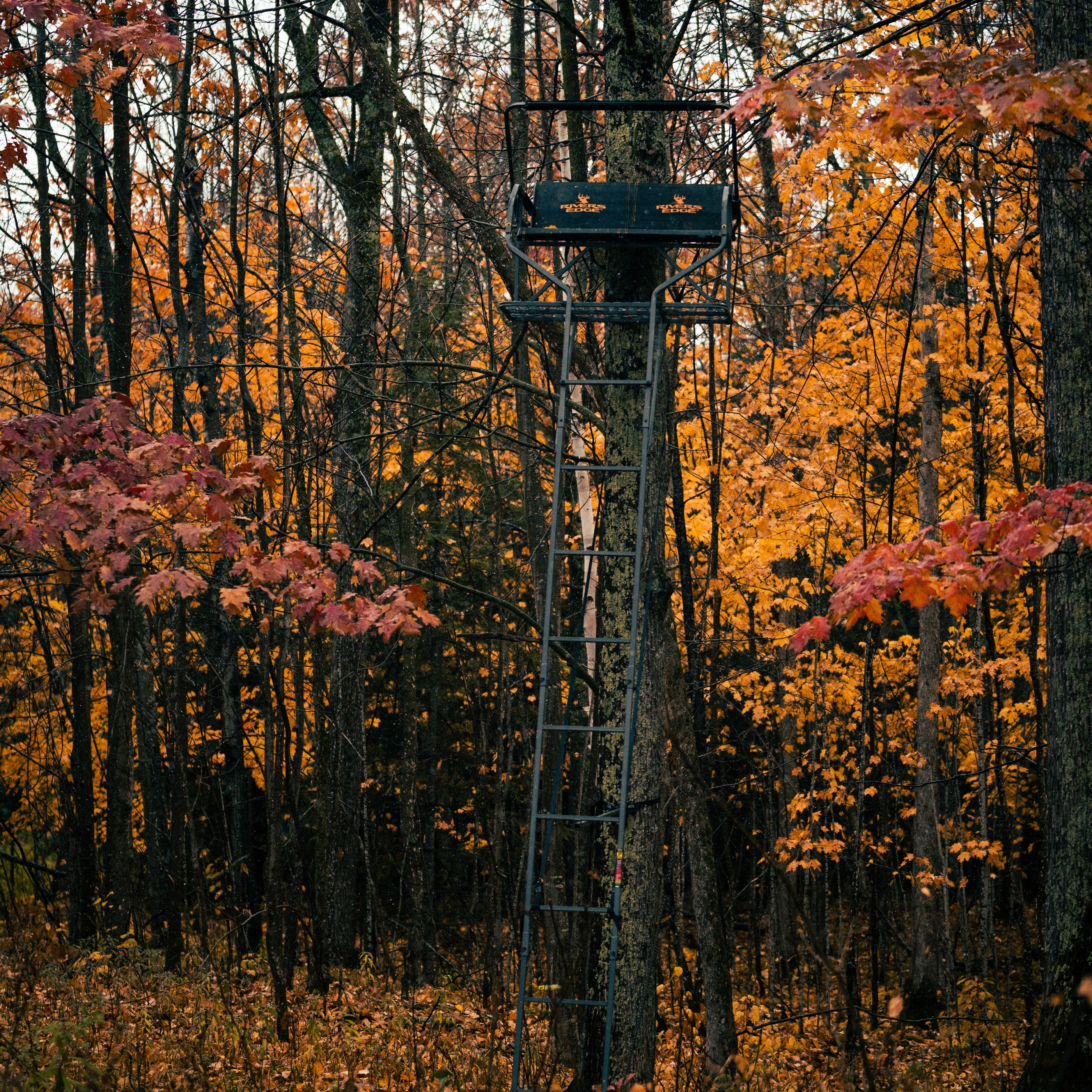 Rivers Edge® RE668 Relax 2-Man Ladder Stand – Rivers Edge® Treestands