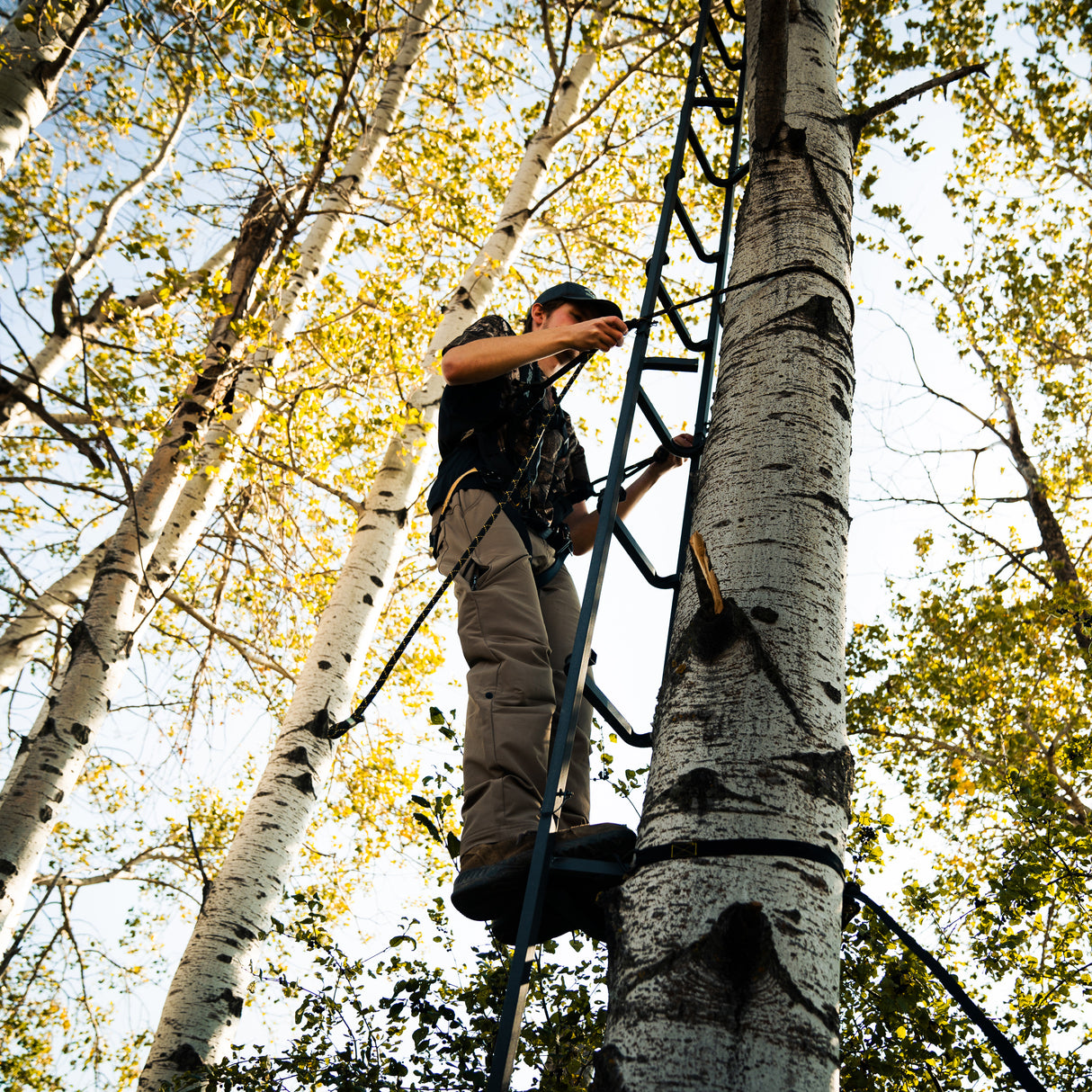 23' Tree Ladder