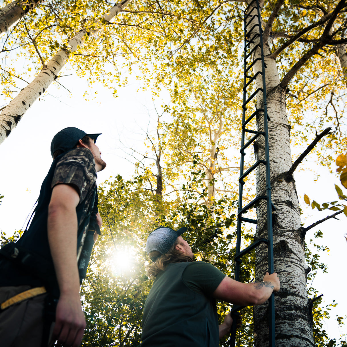23' Tree Ladder