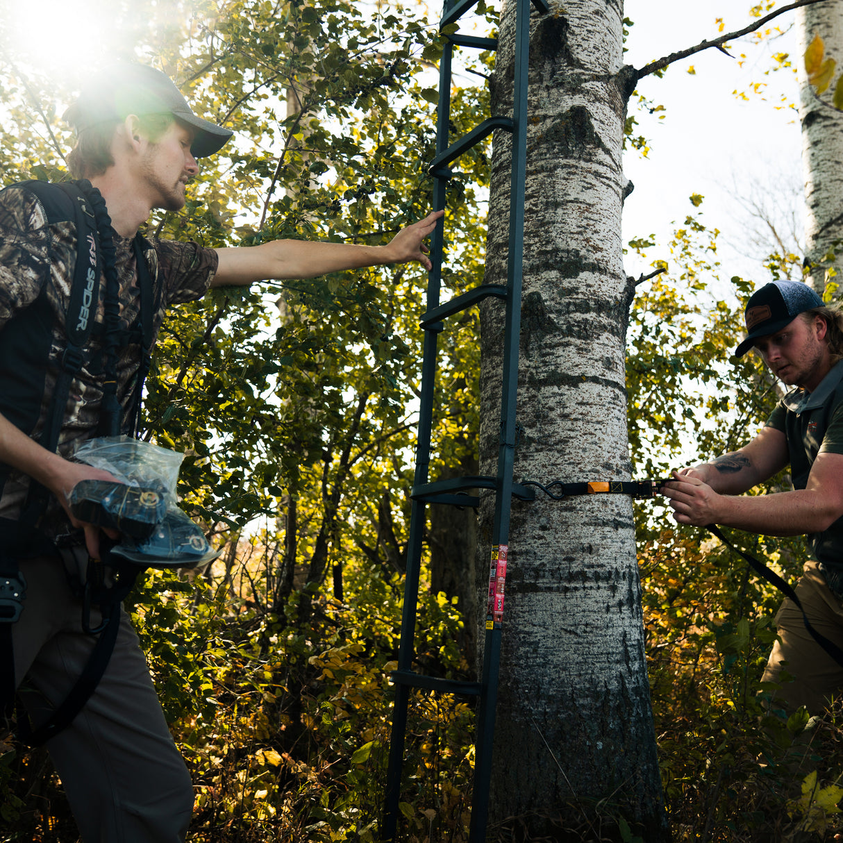 23' Tree Ladder