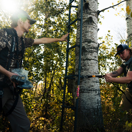 23' Tree Ladder