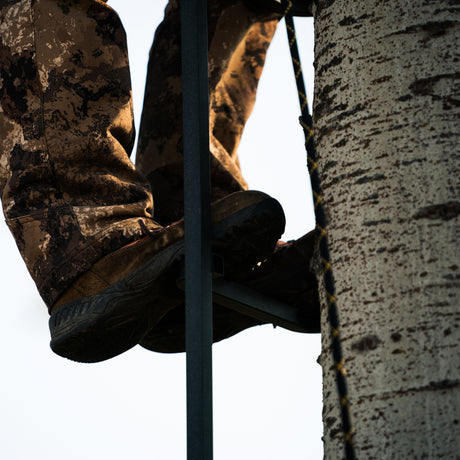 23' Tree Ladder