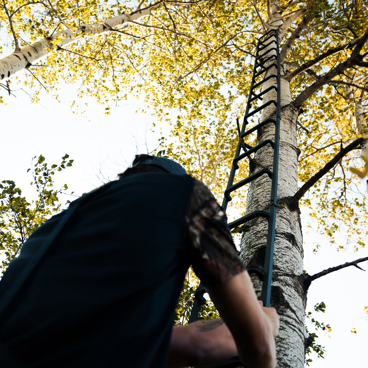 23' Tree Ladder
