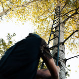 23' Tree Ladder