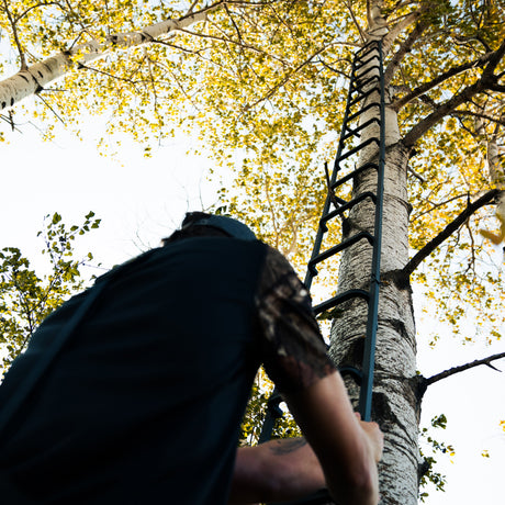 23' Tree Ladder