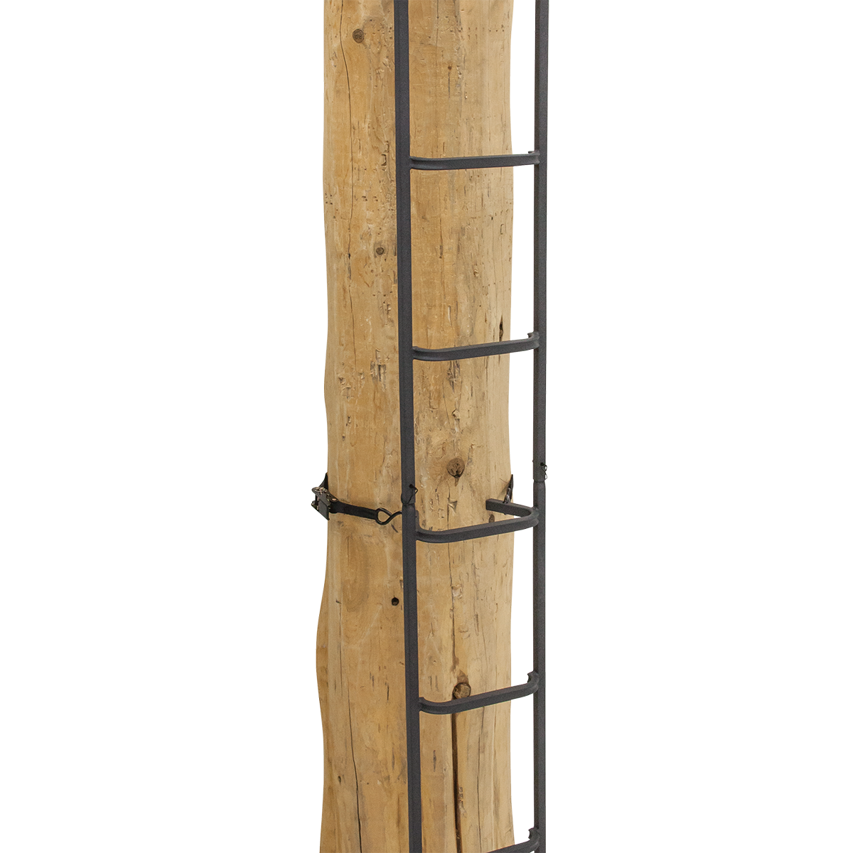 23' Tree Ladder