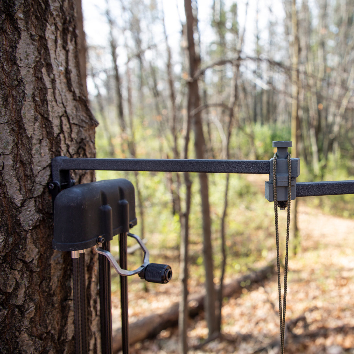 Bow Hanger