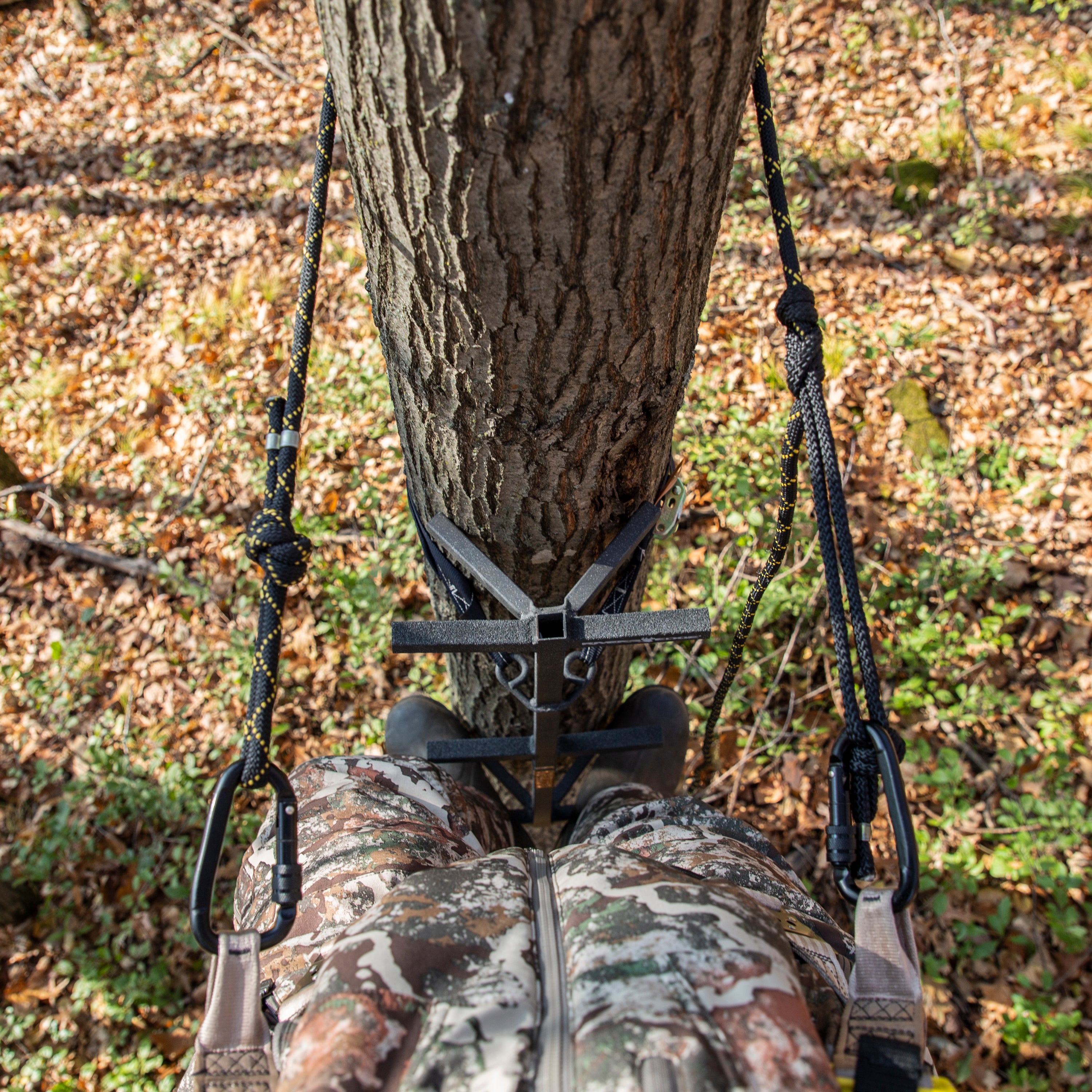 Tree outlets rope